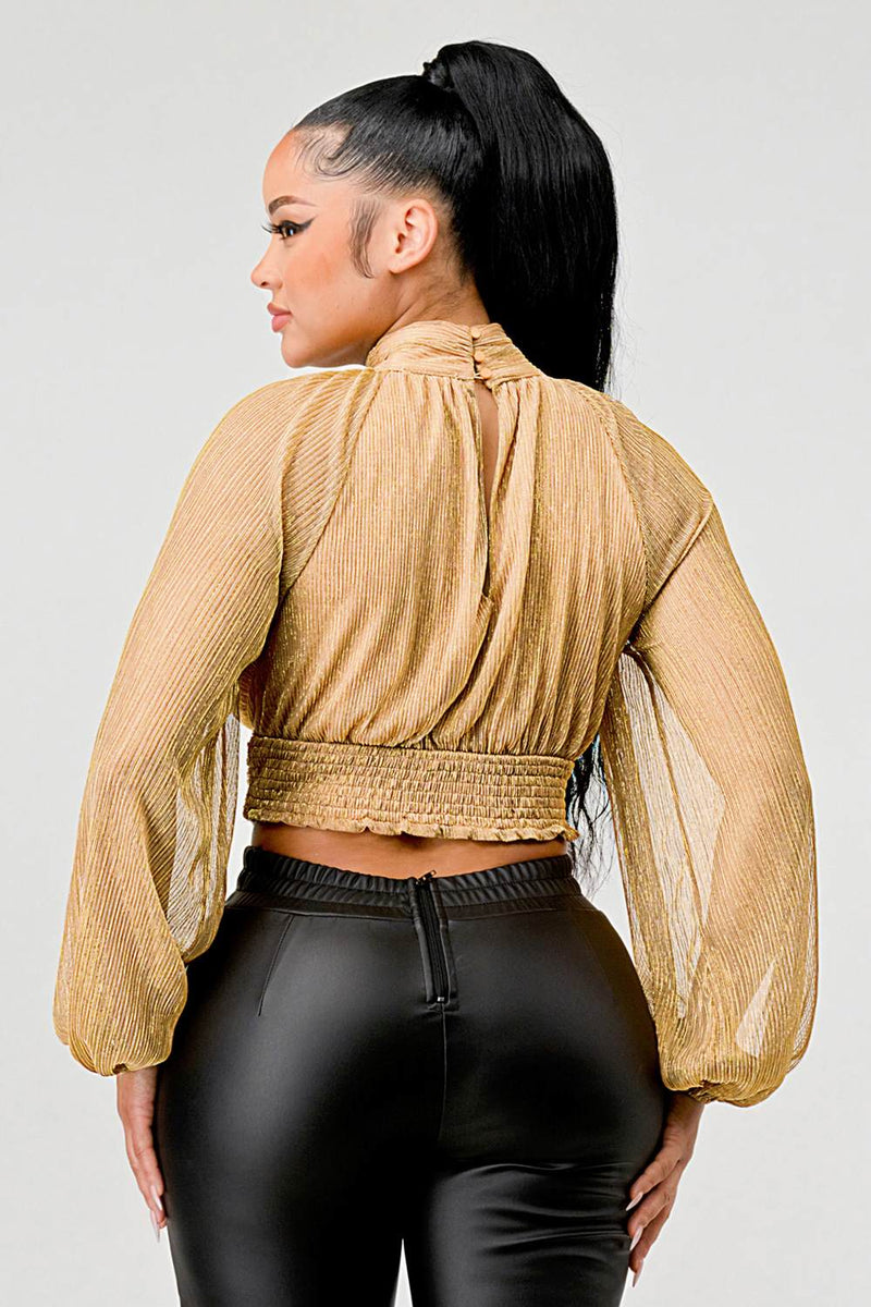 Sheer Bell Sleeves Top