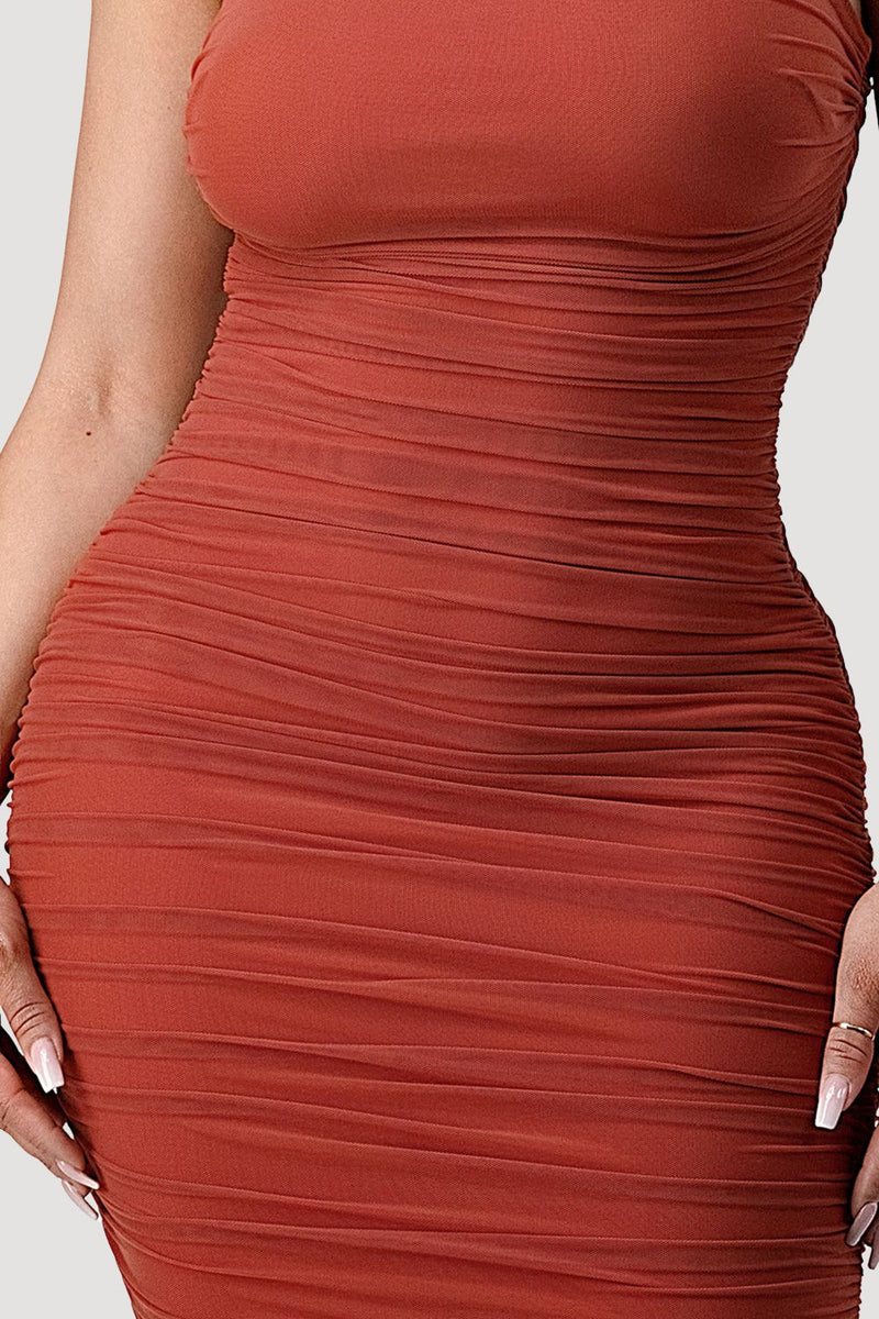 Luxe Mesh Ruched Maxi Dress