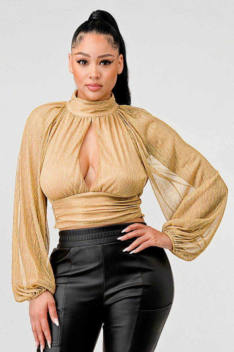 Sheer Bell Sleeves Top
