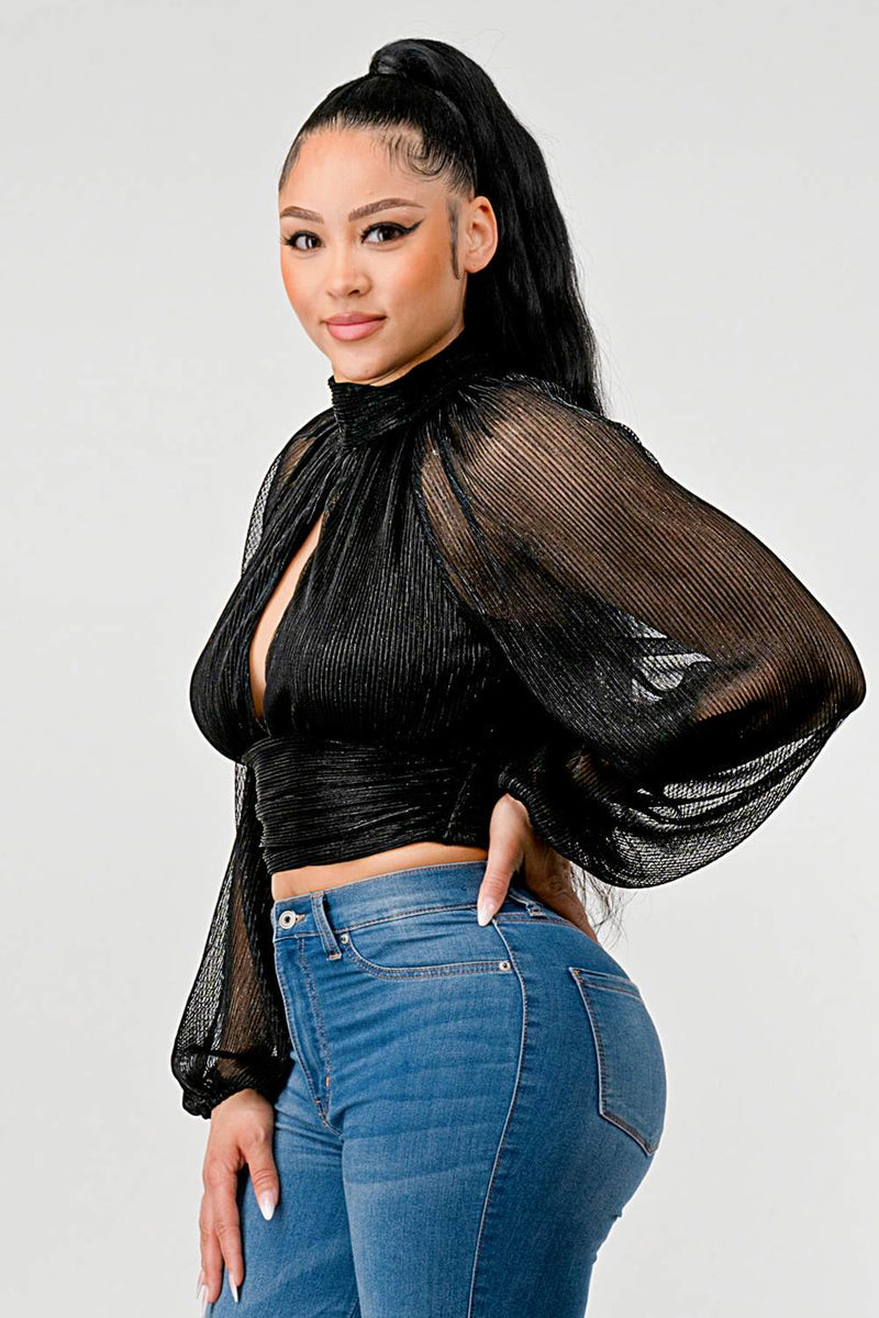 Sheer Bell Sleeves Top